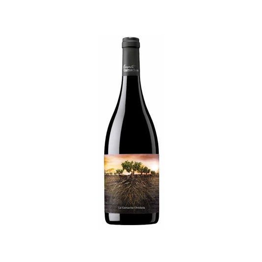 Garnachas Olvidada de Aragón