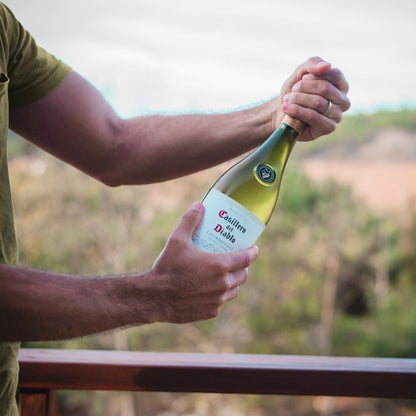 Casillero del Diablo Reserva Chardonnay