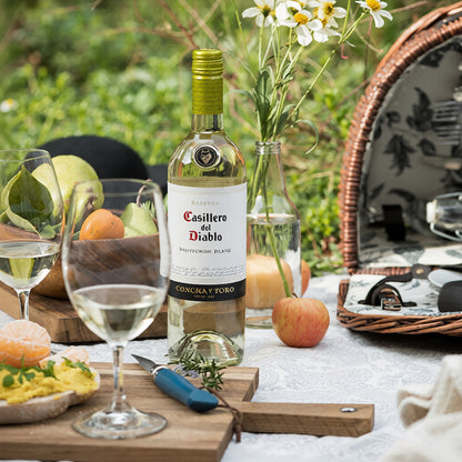 Casillero del Diablo Reserva Sauvignon Blanc