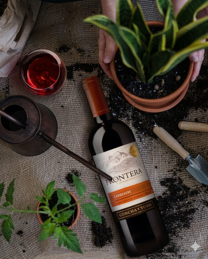 Frontera Carmenere