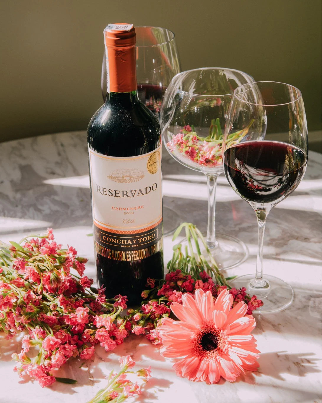 Vino Reservado Carmenere