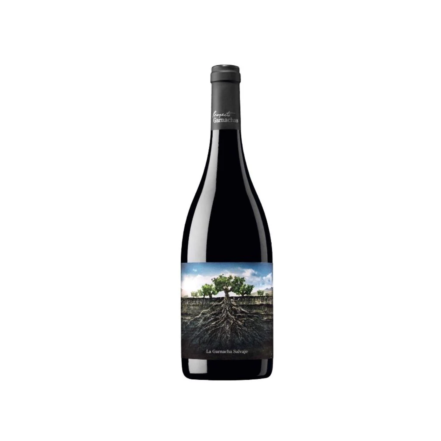 Garnachas Salvaje del Moncayo