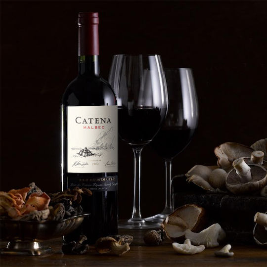 Catena Malbec